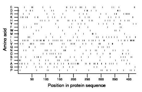 amino acid map