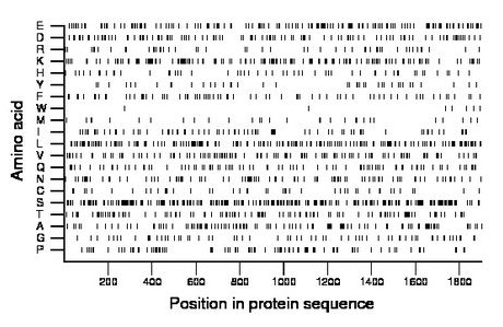 amino acid map