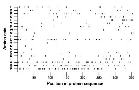 amino acid map