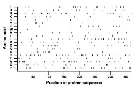 amino acid map