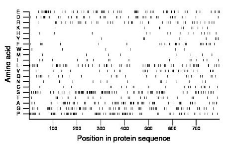 amino acid map