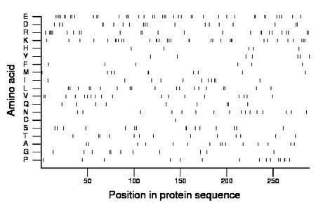 amino acid map