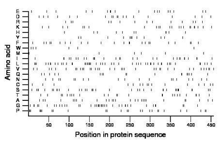 amino acid map