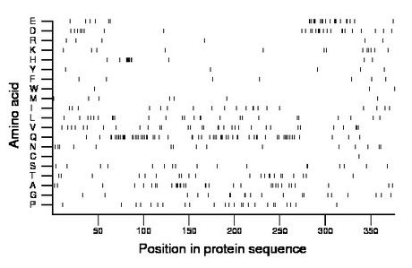 amino acid map