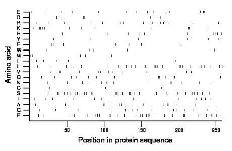 amino acid map