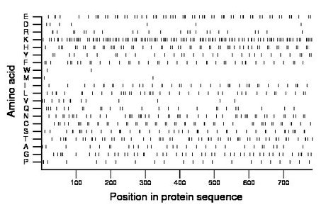 amino acid map