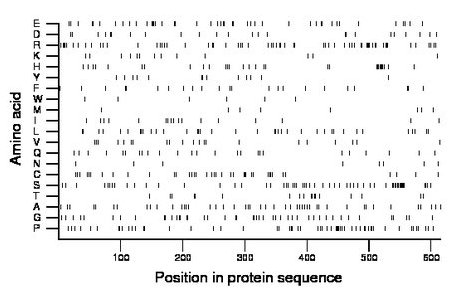 amino acid map