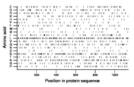 amino acid map