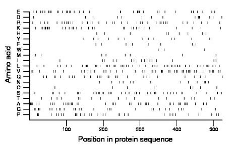 amino acid map