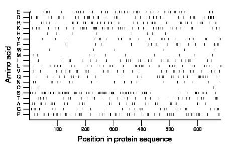 amino acid map