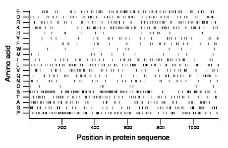 amino acid map