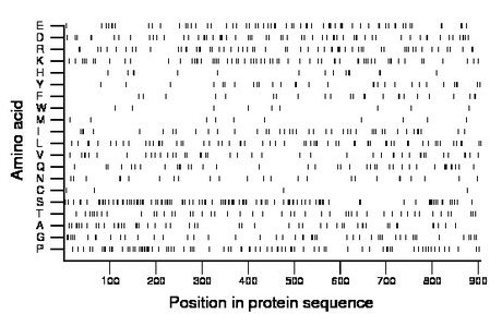 amino acid map