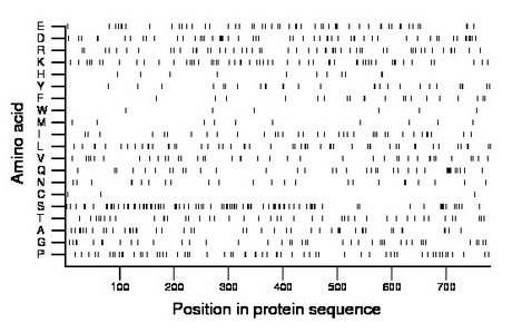 amino acid map