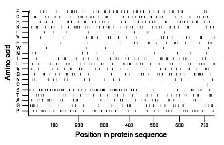 amino acid map