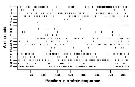 amino acid map