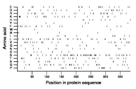 amino acid map