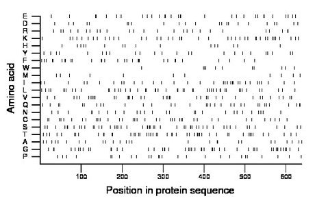 amino acid map