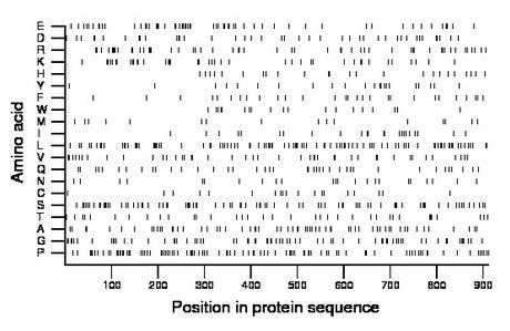 amino acid map