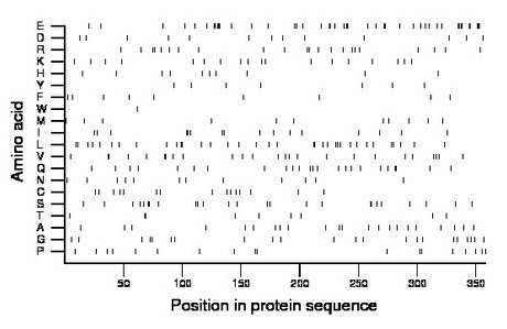 amino acid map