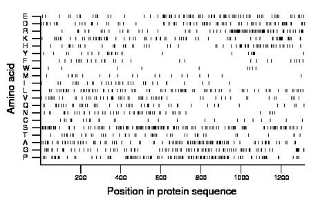 amino acid map