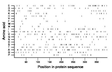 amino acid map