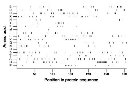 amino acid map