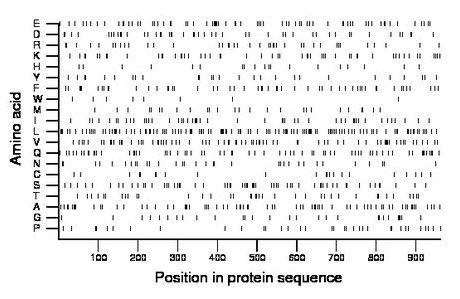 amino acid map