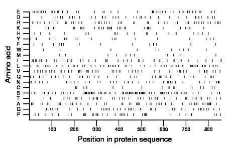 amino acid map