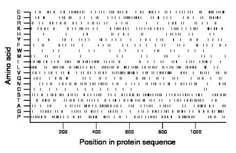 amino acid map