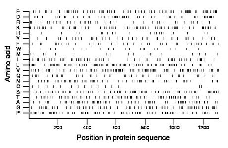 amino acid map