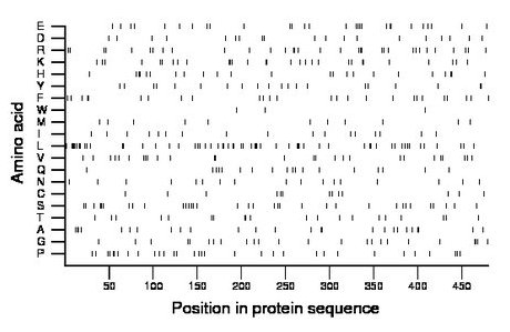 amino acid map