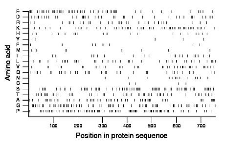 amino acid map