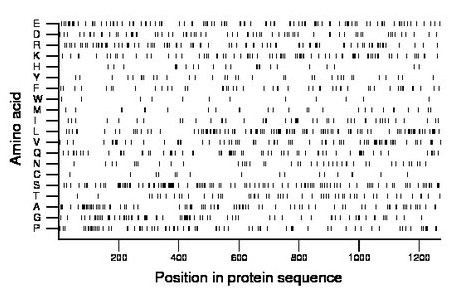 amino acid map