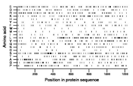 amino acid map