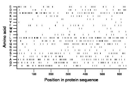 amino acid map