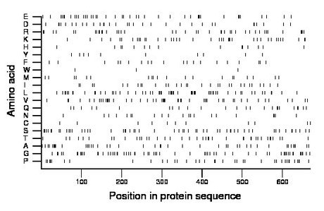 amino acid map