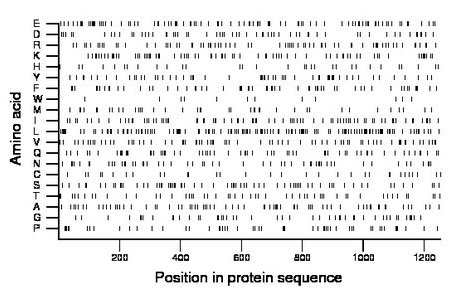 amino acid map