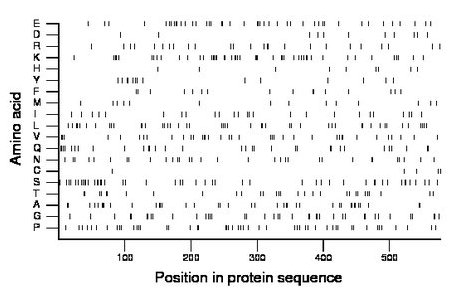 amino acid map