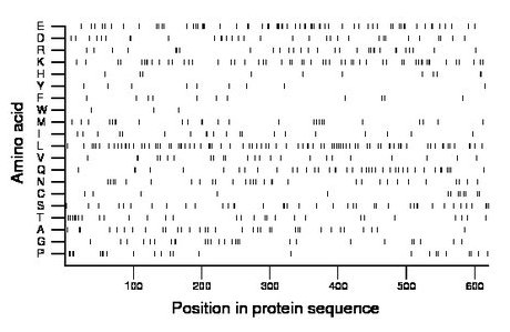 amino acid map