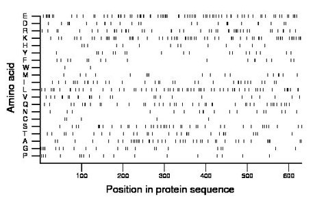 amino acid map