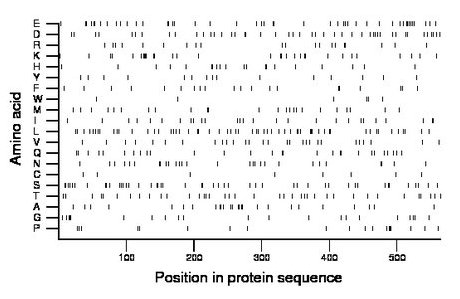 amino acid map