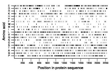 amino acid map