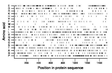 amino acid map