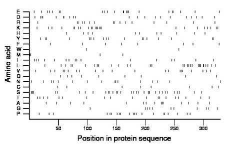 amino acid map