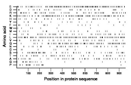 amino acid map