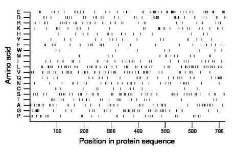 amino acid map