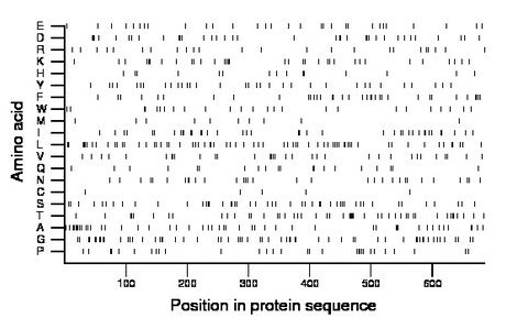 amino acid map