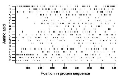 amino acid map