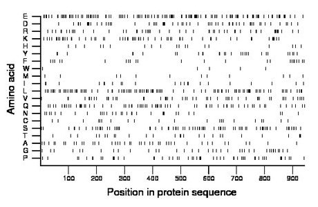 amino acid map