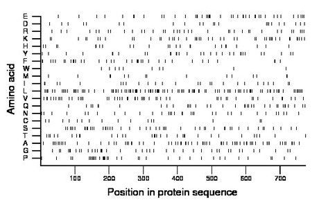 amino acid map